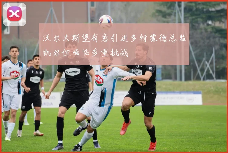 沃尔夫斯堡有意引进多特蒙德总监凯尔但面临多重挑战